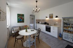 Kuchyň nebo kuchyňský kout v ubytování D4 Apartments Dörgicse
