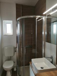 ein Badezimmer mit Dusche, Toilette und Waschbecken in der Unterkunft Deny in Zaboric