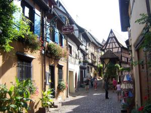 塞爾奈的住宿－Appartement Sur La Route des Vins d'Alsace，相簿中的一張相片