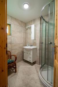 a bathroom with a sink and a shower at Blockhaus Edelsberg in Sebersdorf