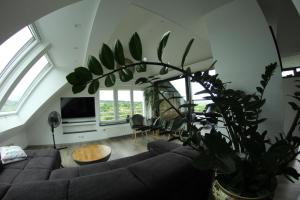TV a/nebo společenská místnost v ubytování Apartments Metzingen Panoramablick