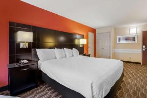 Postel nebo postele na pokoji v ubytování BEST WESTERN PLUS Poconos