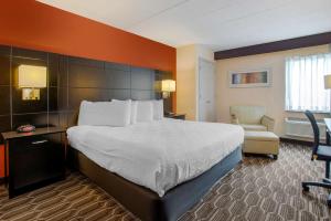 Postel nebo postele na pokoji v ubytování BEST WESTERN PLUS Poconos