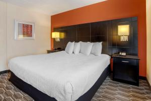 Postel nebo postele na pokoji v ubytování BEST WESTERN PLUS Poconos