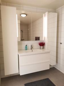 La salle de bains blanche est pourvue d'un lavabo et d'un miroir. dans l'établissement The House of Aurora II, à Tromsø
