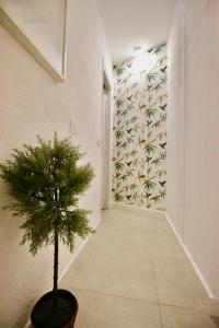 Fotografie z fotogalerie ubytování Sweet Home Apartaments v destinaci El Médano