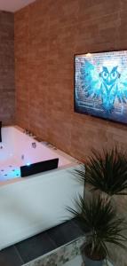 wanna w pokoju z telewizorem na ścianie w obiekcie ESTUDIO Jacuzzi SOL De JEREZ w mieście Jerez de la Frontera