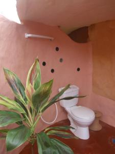 a bathroom with a toilet and a plant in it at Chiang Dao Roundhouses in Chiang Dao