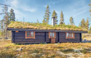 eine Blockhütte mit einem Grasdach auf einem Feld in der Unterkunft Lovely Home In Rendalen With Kitchenette in Rendalen