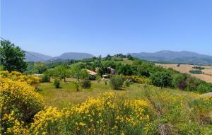 a view of a field with yellow flowers at Rondine in Smirra +17 photos