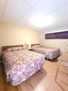 Postel nebo postele na pokoji v ubytování Shannon Motel + 5 fotografií