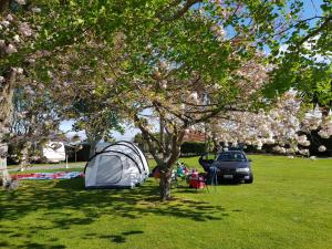 Zahrada ubytování Levin TOP 10 Holiday Park