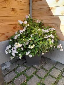 una maceta de flores sentada junto a una pared de madera en Charmant gîte avec jacuzzi privatif, en Saint-Martin-Choquel