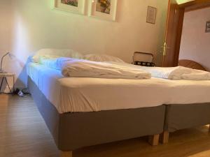 ein Paar Betten in einem Zimmer in der Unterkunft Pension Karlsdorfer Hof in Seeboden