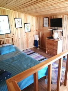 a bedroom with a bed and a television in a cabin at Сясьстрой Уютный дом in Podryabin'ye
