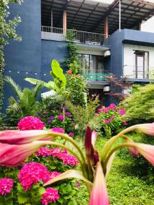 a garden with pink flowers in front of a building at Villa Del Mar in Gonio