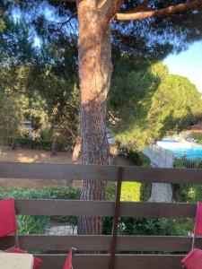 drzewo przed płotem ze stołem i krzesłami w obiekcie Résidence Piscine proche Village naturiste - Pinède w Cap d'Agde