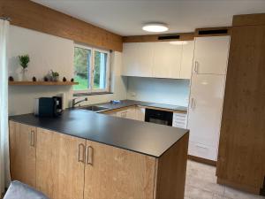 Cucina o angolo cottura di Seegarten A (361 Ku)