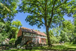 an old house in a park with a tree at Hotel Hohlebach Mühle in Homberg