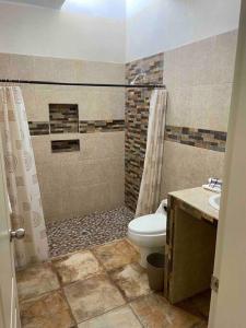 アラモスにあるCasa Real de Los Alamos con Albercaのバスルーム(シャワー、トイレ、シンク付)