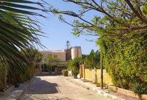 a street in front of a house with plants at الساحل الشمالي in Borg El Arab +26 photos