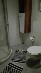 La salle de bains est pourvue d'une douche, de toilettes et d'un tapis. dans l'établissement Haus am Bach, à Fribourg-en-Brisgau