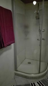 d'une douche avec une porte en verre et une serviette violette. dans l'établissement Haus am Bach, à Fribourg-en-Brisgau