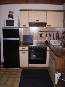 a kitchen with a black refrigerator and a sink at Haus am Bach in Freiburg im Breisgau