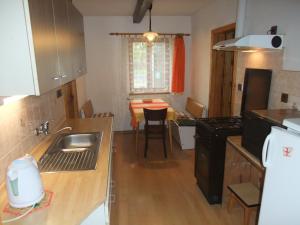 a kitchen with a sink and a table in it at Apartmá V Oblouku in Jeseník