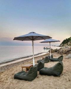 Táj Show holiday homes közelében
