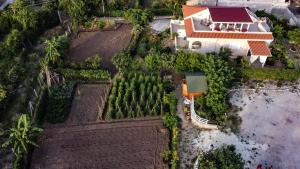 una vista aérea de un jardín con árboles y una casa en Michelino House en Parghelia