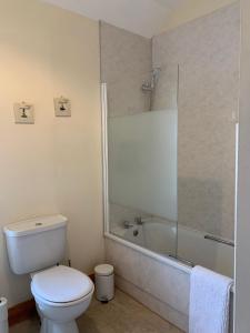 a bathroom with a shower and a toilet and a tub at Ploughmans Cottage in Forres