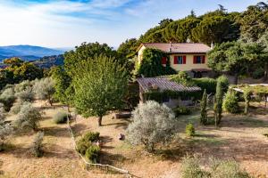 an aerial view of a house in a field with trees at Podere le Muricce in Cavriglia