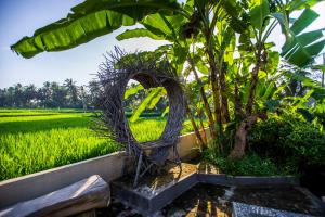 Zahrada ubytování Asri Sari Villa Ubud