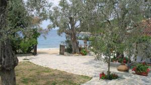 Φυσικό τοπίο κοντά σε αυτό το διαμέρισμα
