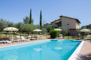 a large swimming pool with chairs and umbrellas at Agriturismo Il Cerreto in Bettona