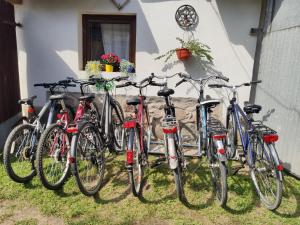 Vožnja bicikla kod ili u okolini objekta Dom z Charyzmą na Mazurach