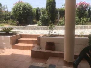 A garden outside PLAZA Studios