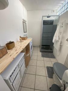 a small bathroom with a sink and a shower at l'Emeraude de Calais - Confort et central in Calais