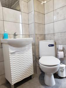 ein Badezimmer mit einer weißen Toilette und einem Waschbecken in der Unterkunft Вила за гости Даная-Фар Шабла in Tyulenovo