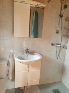 een badkamer met een wastafel en een douche bij Tranquility with Luxury in Maardu