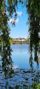 a view of a large body of water with trees at Ferienwohnung zum Hirschen in Herzberg am Harz +24 photos