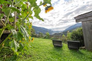 zwei Korbstühle, die im Gras im Hof sitzen in der Unterkunft Familienwanderhof Eggeler in Liesing