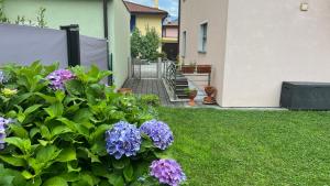 a garden with purple flowers in the yard at Appartamento VACANZE vicino Locarno in Cadenazzo