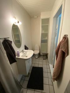 a bathroom with a sink and a toilet and a mirror at Hus ved skov in Ejby