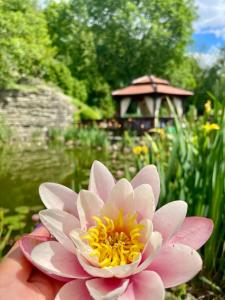 Zahrada ubytování Hotel Belweder