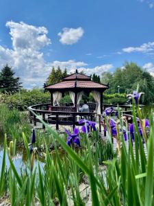 Zahrada ubytování Hotel Belweder