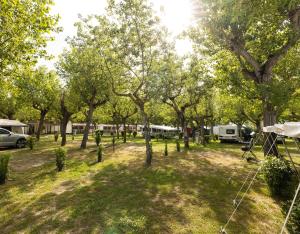 a group of trees in a field with tents at Camping Classe in Lido di Dante