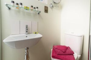 a bathroom with a sink and a toilet at Woodland Retreat Shepherd's Hut in Brundish