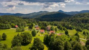 Príroda v okolí horskej chaty